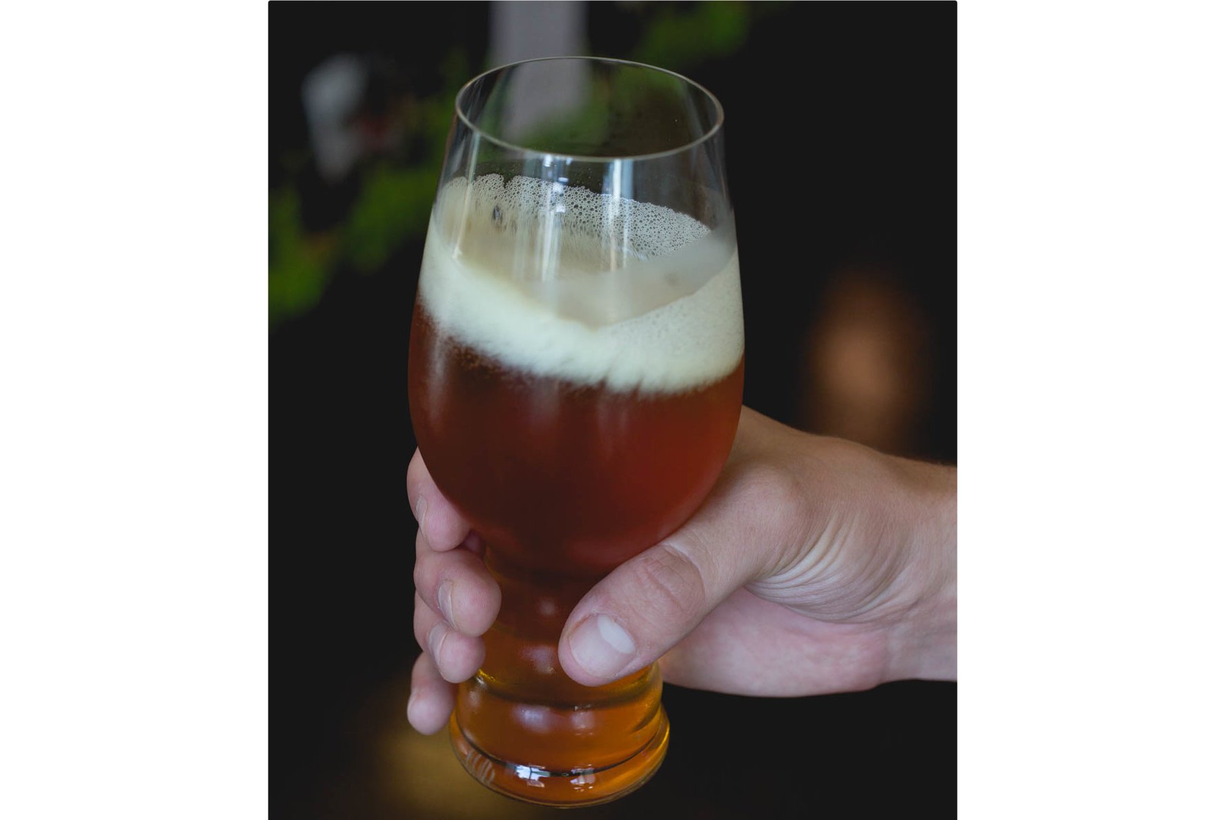 How to Taste (and Drink) Beer Like a Pro