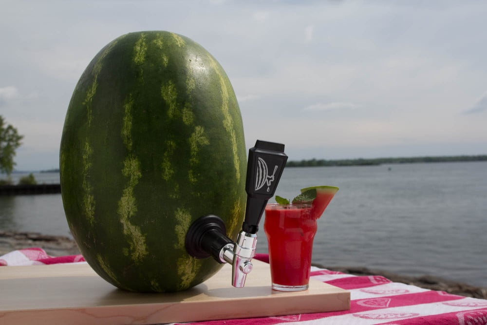 watermelon-keg-kit