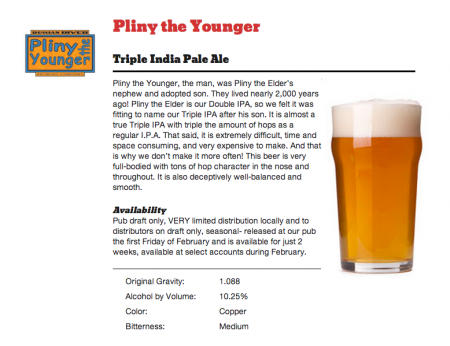 Pliny the Younger Image