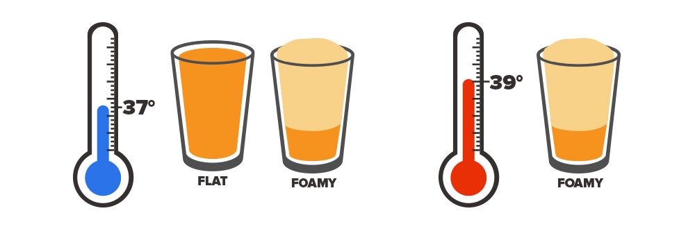 problems arise when your beer gets too hot or cold