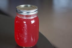 Rhubard Shrub Recipe