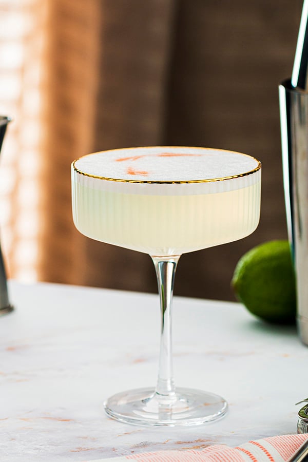 Pisco Sour (with Double Shake Method)