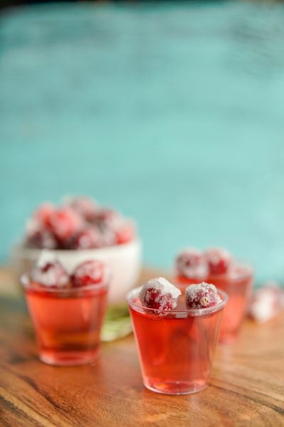 Cranberry Jello Shots with bowl of sugared cranberries
